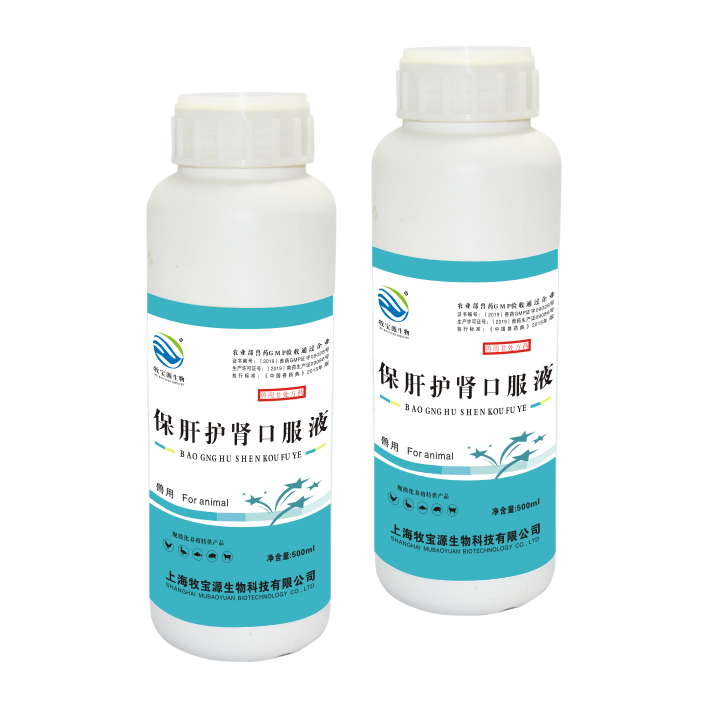 保肝护肾口服液